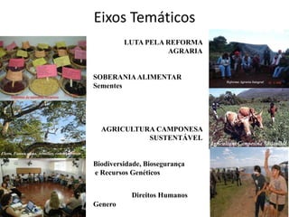 Caid Brasil 2009 MST