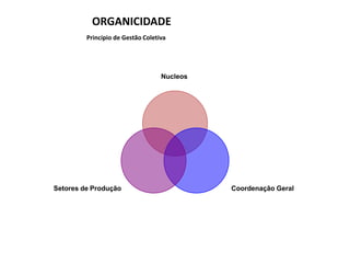 Caid Brasil 2009 MST
