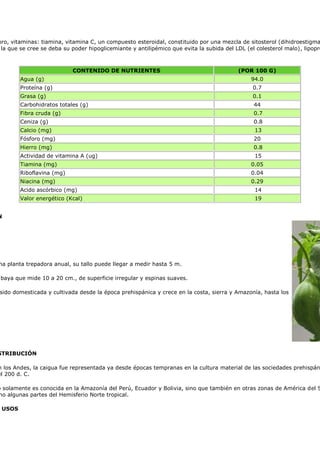 oro, vitaminas: tiamina, vitamina C, un compuesto esteroidal, constituido por una mezcla de sitosterol (dihidroestigma
 la que se cree se deba su poder hipoglicemiante y antilipémico que evita la subida del LDL (el colesterol malo), lipopro



                           CONTENIDO DE NUTRIENTES                                       (POR 100 G)
        Agua (g)                                                                              94.0
        Proteína (g)                                                                          0.7
        Grasa (g)                                                                             0.1
        Carbohidratos totales (g)                                                              44
        Fibra cruda (g)                                                                        0.7
        Ceniza (g)                                                                             0.8
        Calcio (mg)                                                                            13
        Fósforo (mg)                                                                           20
        Hierro (mg)                                                                            0.8
        Actividad de vitamina A (ug)                                                           15
        Tiamina (mg)                                                                          0.05
        Riboflavina (mg)                                                                      0.04
        Niacina (mg)                                                                          0.29
        Acido ascórbico (mg)                                                                   14
        Valor energético (Kcal)                                                                19


N




na planta trepadora anual, su tallo puede llegar a medir hasta 5 m.

 baya que mide 10 a 20 cm., de superficie irregular y espinas suaves.

sido domesticada y cultivada desde la época prehispánica y crece en la costa, sierra y Amazonía, hasta los




STRIBUCIÓN

n los Andes, la caigua fue representada ya desde épocas tempranas en la cultura material de las sociedades prehispán
el 200 d. C.

o solamente es conocida en la Amazonía del Perú, Ecuador y Bolivia, sino que también en otras zonas de América del S
mo algunas partes del Hemisferio Norte tropical.

 USOS
 