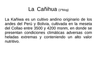 La Cañihua (1ºblog)
La Kañiwa es un cultivo andino originario de los
andes del Perú y Bolivia, cultivada en la meseta
del Collao entre 3500 y 4200 msnm, en donde se
presentan condiciones climáticas adversas com
heladas extremas y conteniendo un alto valor
nutritivo.
 