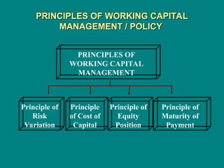 PRINCIPLES OF WORKING CAPITAL
PRINCIPLES OF WORKING CAPITAL
MANAGEMENT / POLICY
MANAGEMENT / POLICY
PRINCIPLES OF
WORKING CAPITAL
MANAGEMENT
Principle of
Risk
Variation
Principle
of Cost of
Capital
Principle of
Equity
Position
Principle of
Maturity of
Payment
 