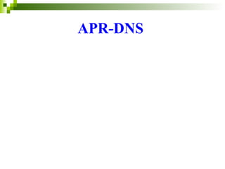 APR-DNS   