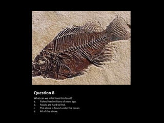 Question 8
What can we infer from this fossil?
a.  Fishes lived millions of years ago.
b. Fossils are hard to find.
c.  This stone is found under the ocean.
d. All of the above.
 