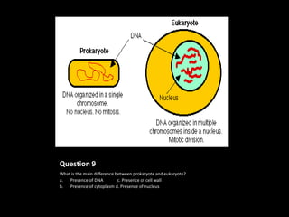 Question 9
What is the main difference between prokaryote and eukaryote?
a.  Presence of DNA          c. Presence of cell wall
b. Presence of cytoplasm d. Presence of nucleus
 