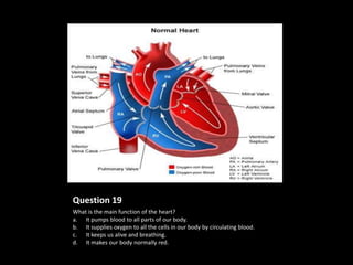 Question 19
What is the main function of the heart?
a. It pumps blood to all parts of our body.
b. It supplies oxygen to all the cells in our body by circulating blood.
c. It keeps us alive and breathing.
d. It makes our body normally red.
 