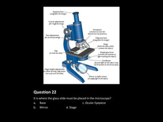 Question 22
It is where the glass slide must be placed in the microscope?
a. Base                                 c. Ocular Eyepiece
b. Mirror                   d. Stage
 