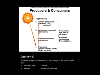 Question 27
What will happen to the amount of light energy in the fourth trophic
level?
a. still the same       c. lesser
b. greater              d. none of the above
 