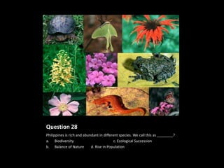 Question 28
Philippines is rich and abundant in different species. We call this as ________?
a. Biodiversity                            c. Ecological Succession
b. Balance of Nature        d. Rise in Population
 