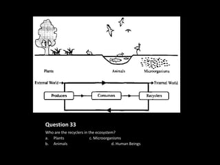 Question 33
Who are the recyclers in the ecosystem?
a. Plants                 c. Microorganisms
b. Animals                            d. Human Beings
 