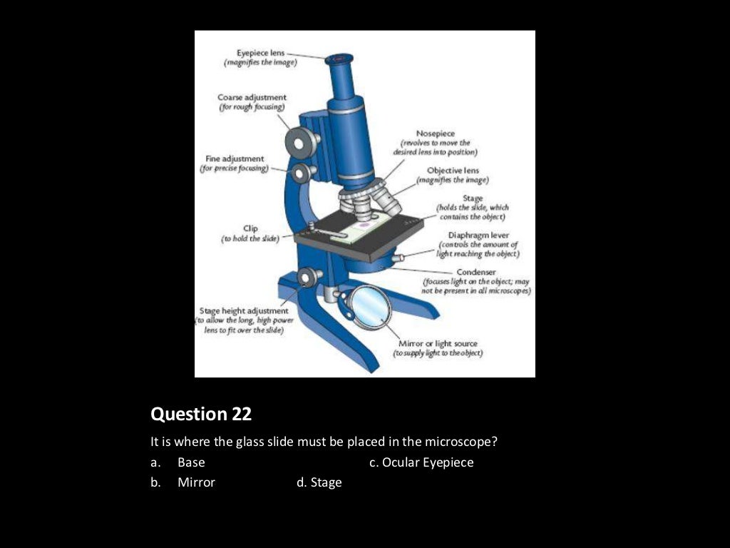 NAT Review for Biology