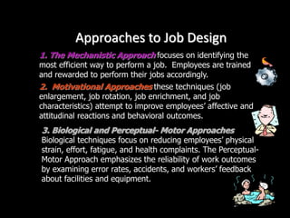 Approaches to Job Design
2. Motivational Approaches these techniques (job
enlargement, job rotation, job enrichment, and job
characteristics) attempt to improve employees’ affective and
attitudinal reactions and behavioral outcomes.
3. Biological and Perceptual- Motor Approaches
Biological techniques focus on reducing employees’ physical
strain, effort, fatigue, and health complaints. The Perceptual-
Motor Approach emphasizes the reliability of work outcomes
by examining error rates, accidents, and workers’ feedback
about facilities and equipment.
1. The Mechanistic Approach focuses on identifying the
most efficient way to perform a job. Employees are trained
and rewarded to perform their jobs accordingly.
 