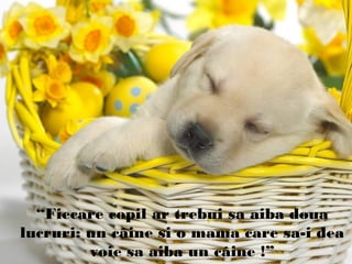 “Fiecare copil ar trebui sa aiba doua
lucruri: un câine si o mama care sa-i dea
voie sa aiba un câine !”
 