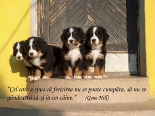 “Cel care a spus că fericirea nu se poate cumpăra, să nu se
gândească să-şi ia un câine.” (Gene Hill)
 