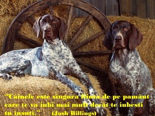 “Câinele este singura fiinta de pe pamânt
care te va iubi mai mult decât te iubesti
tu insuti.” (Josh Billings)
 