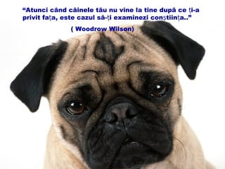 “Atunci când câinele tãu nu vine la tine dupã ce i-aț
privit fa aț , este cazul să- i examinezi con tiin a.ț ș ț .”
( Woodrow Wilson)
 