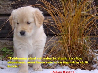 “Totdeauna când vei vedea în ploaie un câine
abandonat, acest lucru care te va împiedica sã fii
fericit.”
( Aldous Huxley )
 