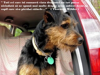 “ Toti cei care îsi consacrã viata dragostei nu vor putea
niciodatã sã ne spunã mai multe despre acest subiect decât un
copil care si-a pierdut câinele…” ( Thornton Wilder )
 