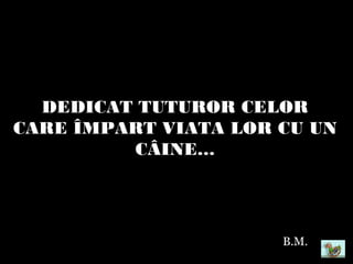 DEDICAT TUTUROR CELOR
CARE ÎMPART VIATA LOR CU UN
CÂINE…
B.M.
 