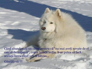 Când abandona iț un câine pentru că ”nu mai ave i nevoie de elț
sau vă deranjează”, copiii înva ă lec iaț ț . S-ar putea să facă
acela i lucru când ve i fi bătrânș ț ...
Gândi i-văț !!!
 
