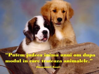 “Putem judeca inima unui om dupa
modul în care trateaza animalele.”
(Immanuel Kant)
 