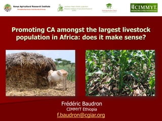 Frédéric Baudron
CIMMYT Ethiopia
f.baudron@cgiar.org
Promoting CA amongst the largest livestock
population in Africa: does it make sense?
 
