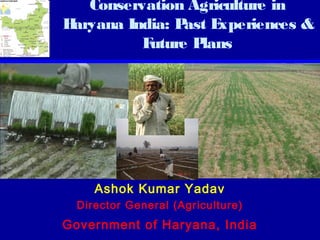 Conservation Agriculture in
Haryana India: P E
                ast xperiences &
          Future Plans




     Ashok Kumar Yadav
  Director General (Agriculture)
Government of Haryana, India
 