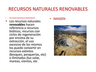 RECURSOS NATURALES RENOVABLES
• RECURSOS NATURALES RENOVABLES
• Los recursos naturales
renovables hacen
referencia a recursos
bióticos, recursos con
ciclos de regeneración
por encima de su
extracción, el uso
excesivo de los mismos
los puede convertir en
recursos extintos
(bosques, pesquerías, etc)
o ilimitados (luz solar,
mareas, vientos, etc
• IMAGEN
 