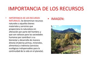 IMPORTANCIA DE LOS RECURSOS
• IMPORTANCIA DE LOS RECURSOS
NATURALES.-Se denominan recursos
naturales a aquellos bienes
materiales y servicios que
proporciona la naturaleza sin
alteración por parte del hombre; y
que son valiosos para las sociedades
humanas por contribuir a su
bienestar y desarrollo de manera
directa (materias primas, minerales,
alimentos) o indirecta (servicios
ecológicos indispensables para la
continuidad de la vida en el planeta).
• IMAGEN:
 