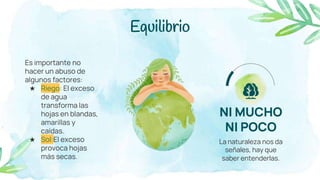 Equilibrio
NI MUCHO
NI POCO
La naturaleza nos da
señales, hay que
saber entenderlas.
Es importante no
hacer un abuso de
algunos factores:
★ Riego: El exceso
de agua
transforma las
hojas en blandas,
amarillas y
caídas.
★ Sol:El exceso
provoca hojas
más secas.
 