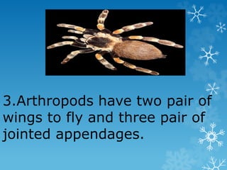 3.Arthropods have two pair of
wings to fly and three pair of
jointed appendages.
 