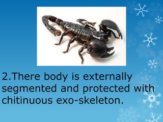 2.There body is externally
segmented and protected with
chitinuous exo-skeleton.
 