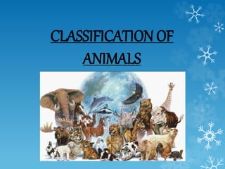 CLASSIFICATION OF
ANIMALS
 