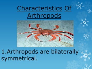 1.Arthropods are bilaterally
symmetrical.
Characteristics Of
Arthropods
 