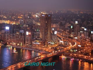 CAIRO NIGHTCAIRO NIGHT
 