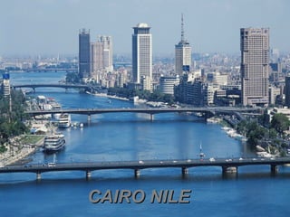 CAIRO NILECAIRO NILE
 
