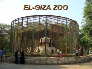 EL-GIZA ZOOEL-GIZA ZOO
 