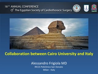 Collaboration between Cairo University and Italy

              Alessandro Frigiola MD
                IRCCS Policlinico San Donato
                        Milan - Italy
 