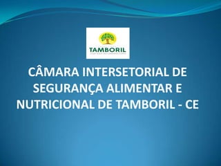 CÂMARA INTERSETORIAL DE
SEGURANÇA ALIMENTAR E
NUTRICIONAL DE TAMBORIL - CE
 