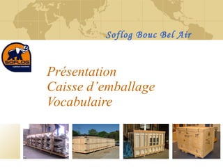 Présentation Caisse d’emballage Vocabulaire Soflog Bouc Bel Air 
