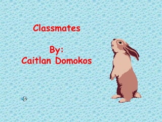 Classmates
By:
Caitlan Domokos
 
