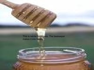 This is nectar from bees. The beekeeper makes it into honey.