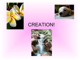 CREATION! 