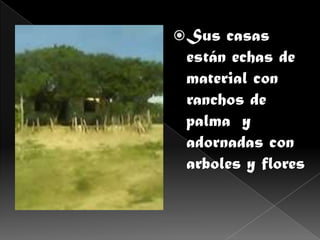  Sus casas
 están echas de
 material con
 ranchos de
 palma y
 adornadas con
 arboles y flores
 