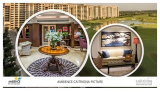 AMBIENCE CAITRIONA PICTURE
 