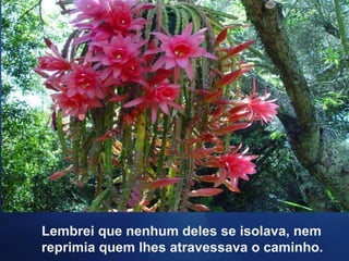 Lembrei que nenhum deles se isolava, nem reprimia quem lhes atravessava o caminho. 