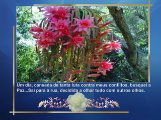 Um dia, cansada de tanta luta contra meus conflitos, busquei a  Paz...Sai para a rua, decidida a olhar tudo com outros olhos. 