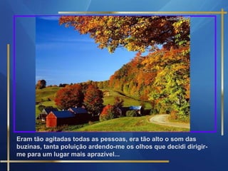 Eram tão agitadas todas as pessoas, era tão alto o som das buzinas, tanta poluição ardendo-me os olhos que decidi dirigir-me para um lugar mais aprazível... 
