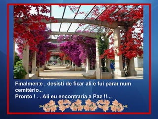 Finalmente , desisti de ficar ali e fui parar num cemitério... Pronto ! ... Ali eu encontraria a Paz !!... 