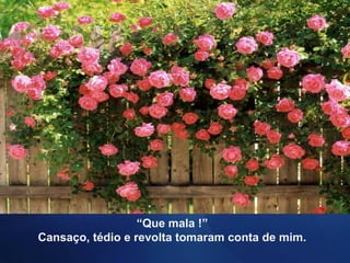 “Que mala !”
Cansaço, tédio e revolta tomaram conta de mim.
 