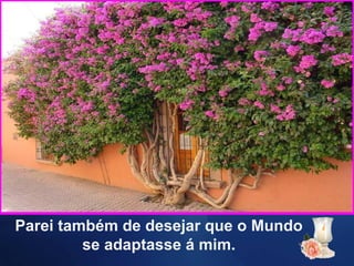 Parei também de desejar que o Mundo
         se adaptasse á mim.
 